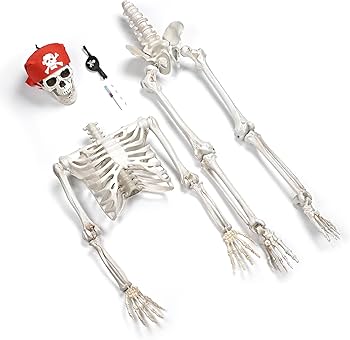 Amazon|AW ハロウィン 骸骨 飾り 165cm等身大 海賊スカルと眼帯付き Amazon|AW ハロウィン 骸骨 飾り 165cm等身大 海賊スカルと眼帯付き